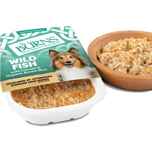 Burns Wild Fish with Carrots & Brown Rice Adult 150g Wet Dog Food 2 Burns Wild Fish with Carrots & Brown Rice Adult 150g Wet Dog Food - Image 2