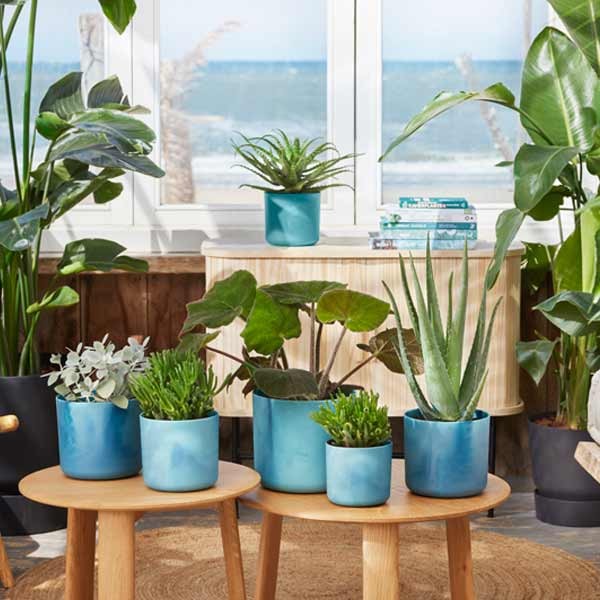 Elho The Ocean Collection Round Atlantic Blue 14cm Flower Pot 5 Elho The Ocean Collection Round Atlantic Blue 14cm Flower Pot - Image 5