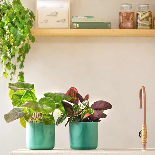 Elho The Ocean Collection Round Pacific Green 18cm Flower Pot 4 Elho The Ocean Collection Round Pacific Green 18cm Flower Pot - Image 4