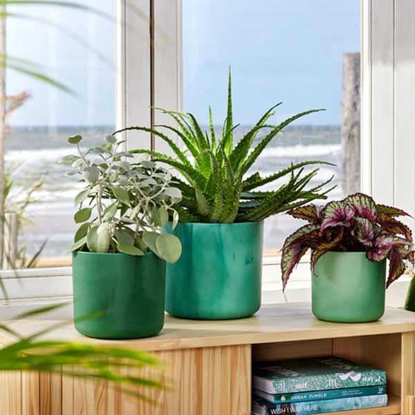 Elho The Ocean Collection Round Pacific Green 18cm Flower Pot 5 Elho The Ocean Collection Round Pacific Green 18cm Flower Pot - Image 5