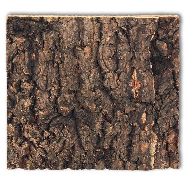 Repti Planet Cork Background To Fit 20 x 20cm Vivarium 1 Repti Planet Cork Background To Fit 20 x 20cm Vivarium