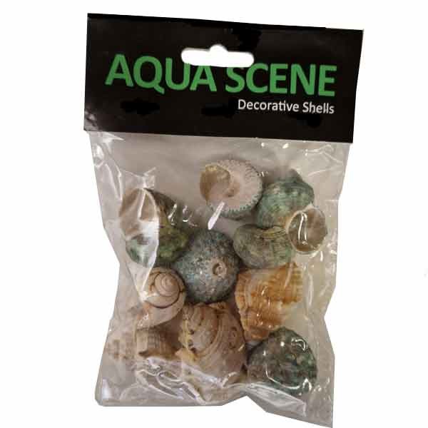 Aquascene Assorted Shells Large 100g