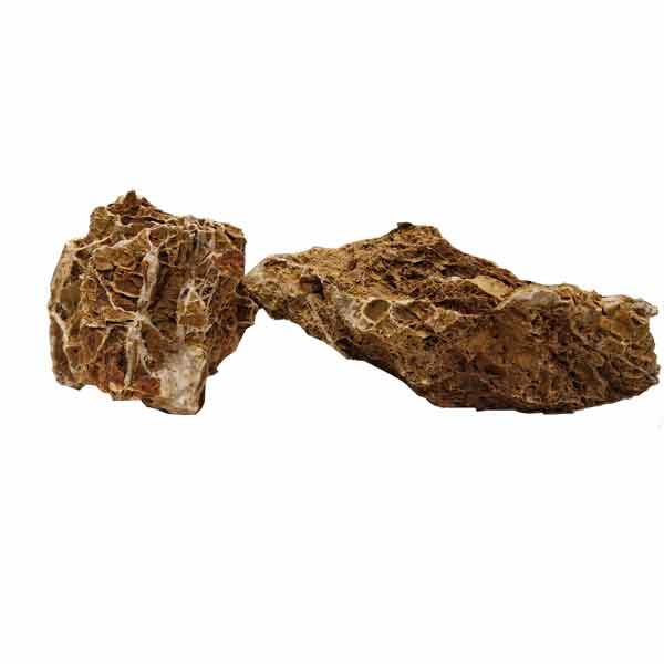 Hugo Kamishi Maple Leaf Rock Single 1 Hugo Kamishi Maple Leaf Rock Single