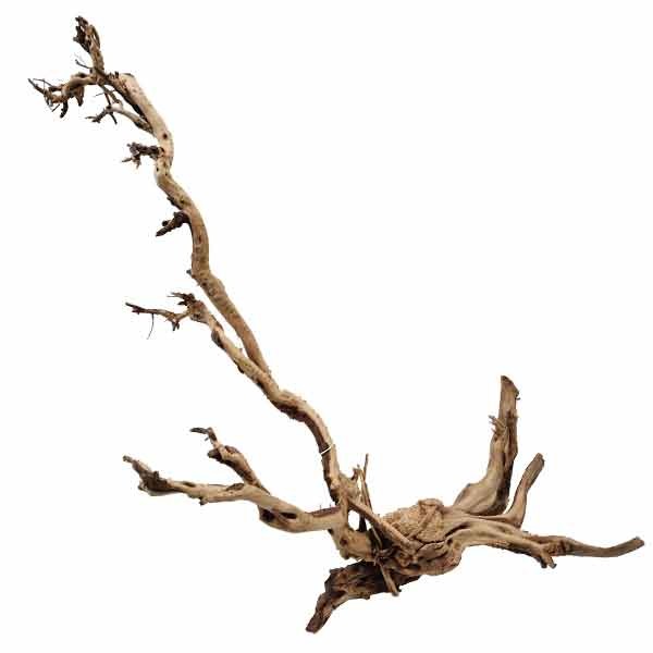 Hugo Kamishi Totoro Wood Medium (25-35cm) 1 Hugo Kamishi Totoro Wood Medium (25-35cm)