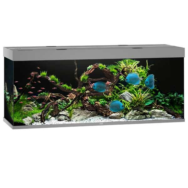 Juwel Rio Grey 450 LED Aquarium 1 Juwel Rio Grey 450 LED Aquarium