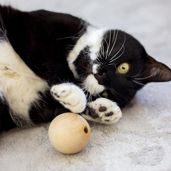 Rosewood Naturals Catnip Wooden Ball Cat Toy 2 Rosewood Naturals Catnip Wooden Ball Cat Toy - Image 2