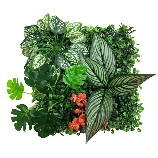 Betta Terra Calathea Garden Mat 25x25cm 1 Betta Terra Calathea Garden Mat 25x25cm
