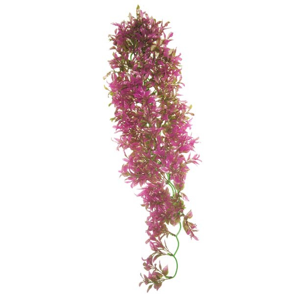Betta Terra Pink Terrarium Vine Plant Ornament 70cm 1 Betta Terra Pink Terrarium Vine Plant Ornament 70cm