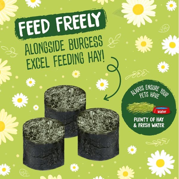 Burgess Excel Meadow Munchies 1kg 3 Burgess Excel Meadow Munchies 1kg - Image 3