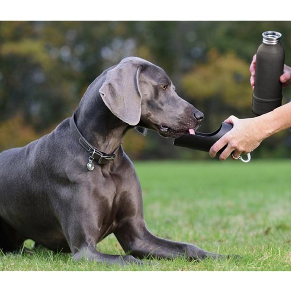 KONG H2O (740ml/25oz) Insulated Bottle Black 2 KONG H2O (740ml/25oz) Insulated Bottle Black - Image 2