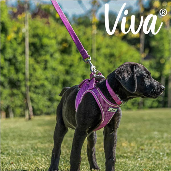 Ancol Viva Padded Lead Black 180 x 2.5cm 2 Ancol Viva Padded Lead Black 180 x 2.5cm - Image 2
