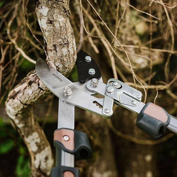 Kent & Stowe SureCut Extra Power Hard Wood Ratchet Loppers 2 Kent & Stowe SureCut Extra Power Hard Wood Ratchet Loppers - Image 2
