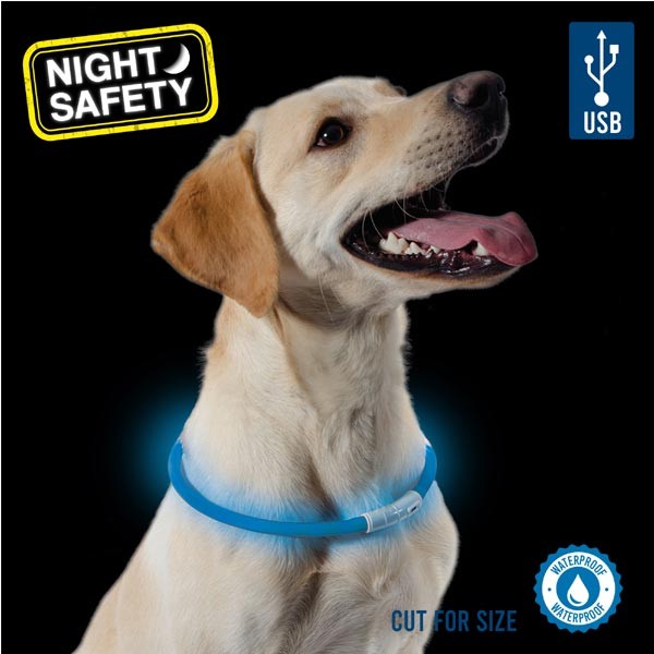 Ancol Night Safety Flashing Band Blue 2 Ancol Night Safety Flashing Band Blue - Image 2