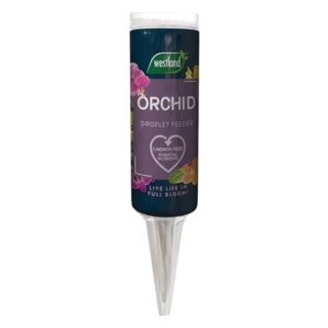 Westland Orchid Droplet Feeder Single 40ml