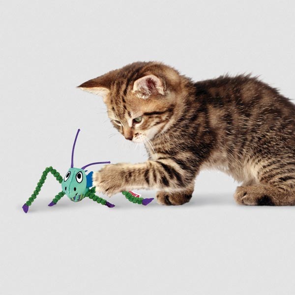 KONG Crackles Grasshopper Cat Toy 2 KONG Crackles Grasshopper Cat Toy - Image 2