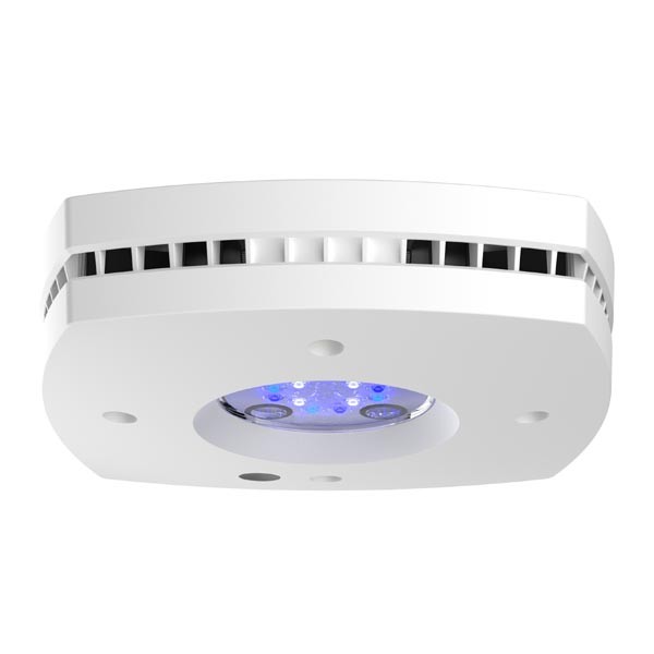 AI Prime 16HD Reef Lighting White 1 AI Prime 16HD Reef Lighting White