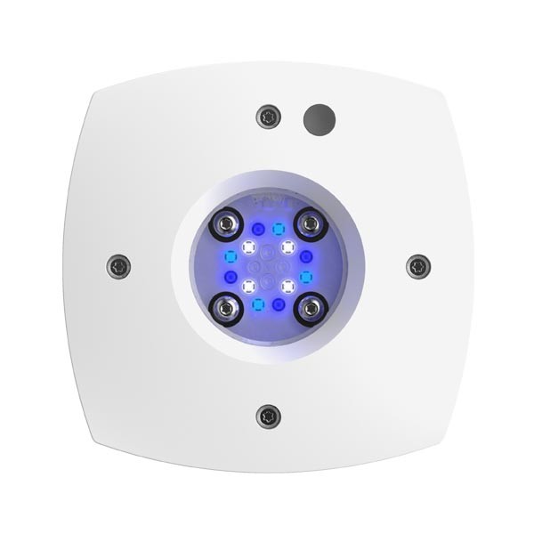 AI Prime 16HD Reef Lighting White 2 AI Prime 16HD Reef Lighting White - Image 2