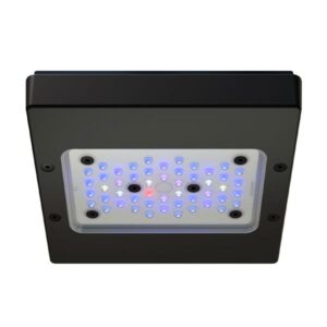 EcoTech Radion XR15 G6 Blue LED Lighting
