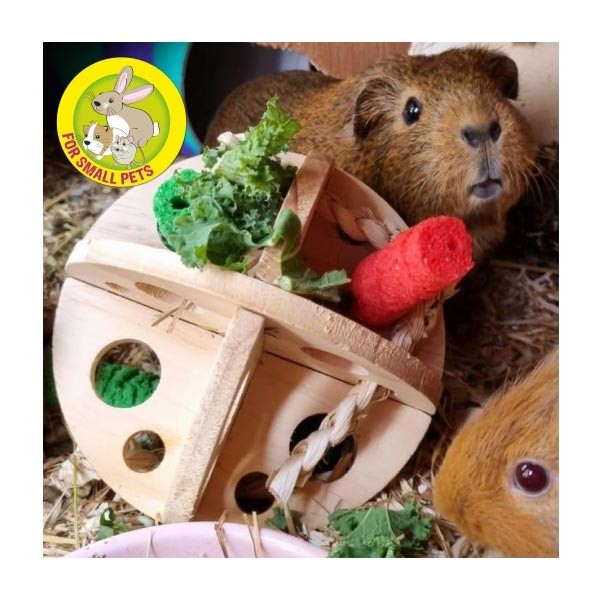 Just 4 Pets Roll N Chew 2 Just 4 Pets Roll N Chew - Image 2