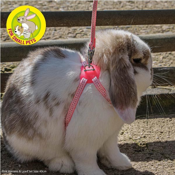 Just 4 Pets Rabbit and Guinea-Pig Harness Set Pink 2 Just 4 Pets Rabbit and Guinea-Pig Harness Set Pink - Image 2