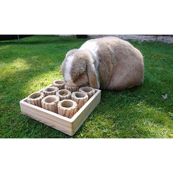 Rosewood Boredom Breaker Hide "n" Treat Forage Tray 3 Rosewood Boredom Breaker Hide "n" Treat Forage Tray - Image 3