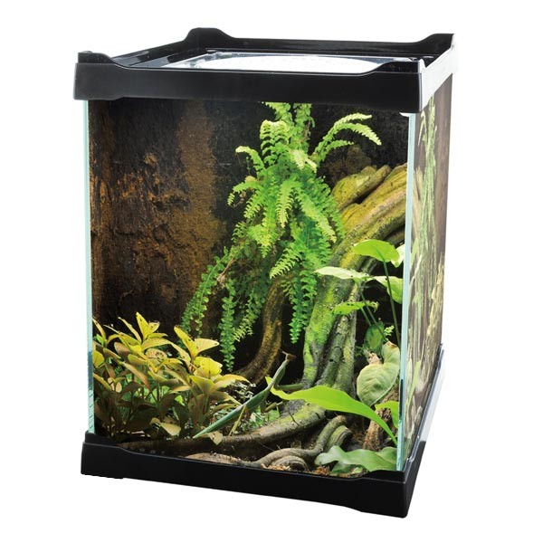 Betta Terra Mini Terrarium Black 16x16x30cm 1 Betta Terra Mini Terrarium Black 16x16x30cm