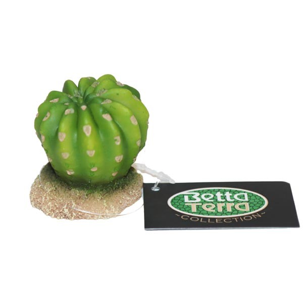 Betta Terra Round Green Succulent Plant Ornament 4.5cm 1 Betta Terra Round Green Succulent Plant Ornament 4.5cm
