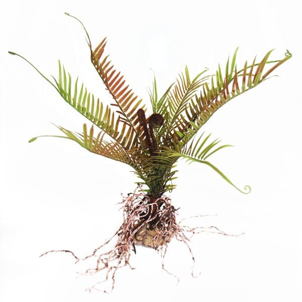 Betta Terra Straggly Fern Plant Ornament 47cm 1 Betta Terra Straggly Fern Plant Ornament 47cm