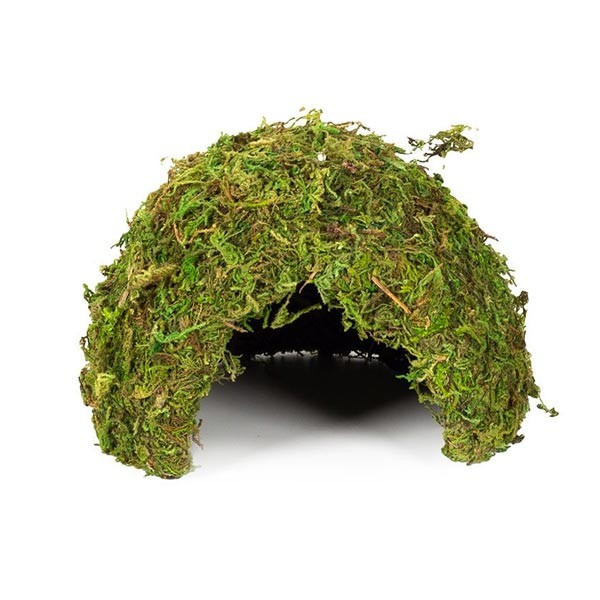 Repti Zoo Natural Moss Dome Medium 1 Repti Zoo Natural Moss Dome Medium