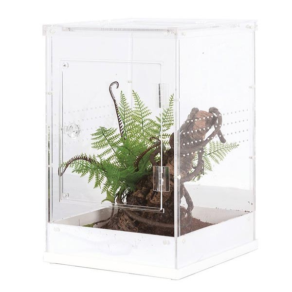 Repti Zoo Magnetic Acrylic Enclosure 30x30x45cm 1 Repti Zoo Magnetic Acrylic Enclosure 30x30x45cm