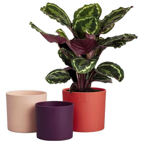 Elho Lex Pott 14cm Coral Red Flower Pot Set 2 Elho Lex Pott 14cm Coral Red Flower Pot Set - Image 2