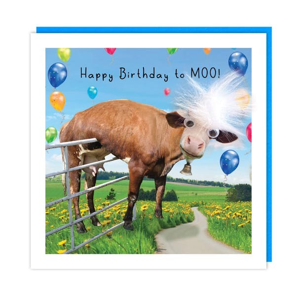 Fluff "to Moo" Birthday Card 1 Fluff "to Moo" Birthday Card