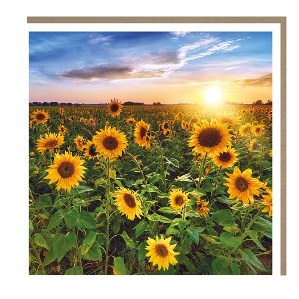 The Botanical Collection "Sunflowers" Card 1 The Botanical Collection "Sunflowers" Card