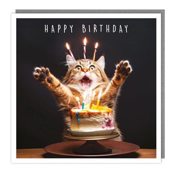 The Light Hearted Collection "Candle Kitty" Card 1 The Light Hearted Collection "Candle Kitty" Card