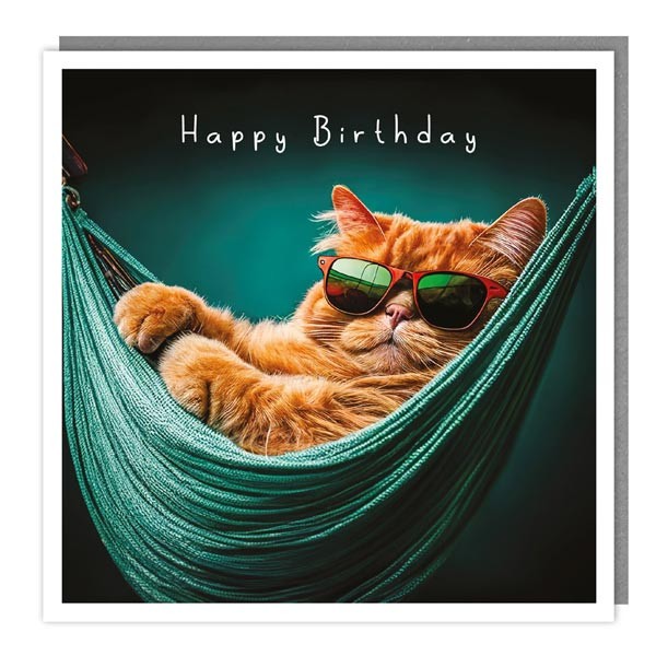 The Light Hearted Collection "Cat Hammock" Card 1 The Light Hearted Collection "Cat Hammock" Card
