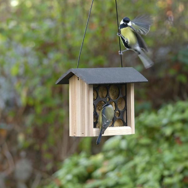 Peckish Woodland Woodland Feast Suet Cake Feeder 2 Peckish Woodland Woodland Feast Suet Cake Feeder - Image 2