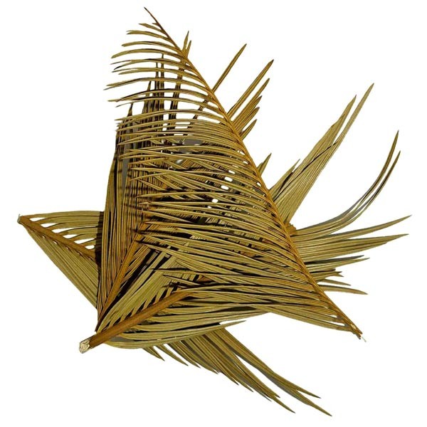 Wio Cyca Leaves 3 Pack 2 Wio Cyca Leaves 3 Pack - Image 2