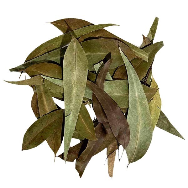Wio Eucalyptus Leaves 20g 2 Wio Eucalyptus Leaves 20g - Image 2