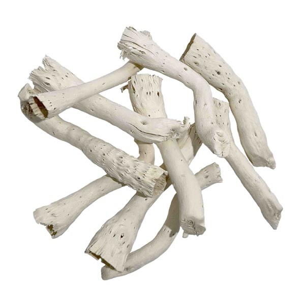 Wio Driftcactus Cholla Wood Bit 5 Pack 2 Wio Driftcactus Cholla Wood Bit 5 Pack - Image 2