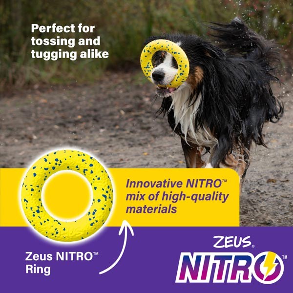 Zeus & Zoe Nitro Ring 16cm 2 Zeus & Zoe Nitro Ring 16cm - Image 2