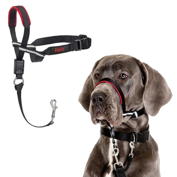 Company of Animals Halti Optifit Headcollar Large 1 Company of Animals Halti Optifit Headcollar Large