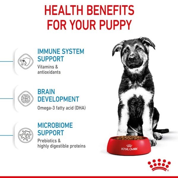 Royal Canin Maxi Puppy 3kg 2 Royal Canin Maxi Puppy 3kg - Image 2