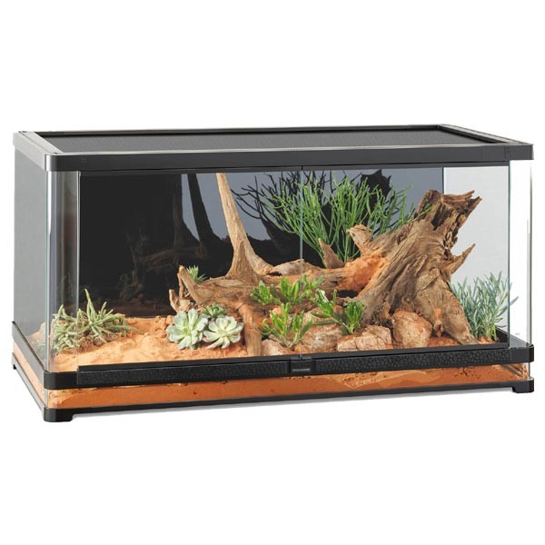 Exo Terra Vista 120XL Panoramic Terrarium 1 Exo Terra Vista 120XL Panoramic Terrarium
