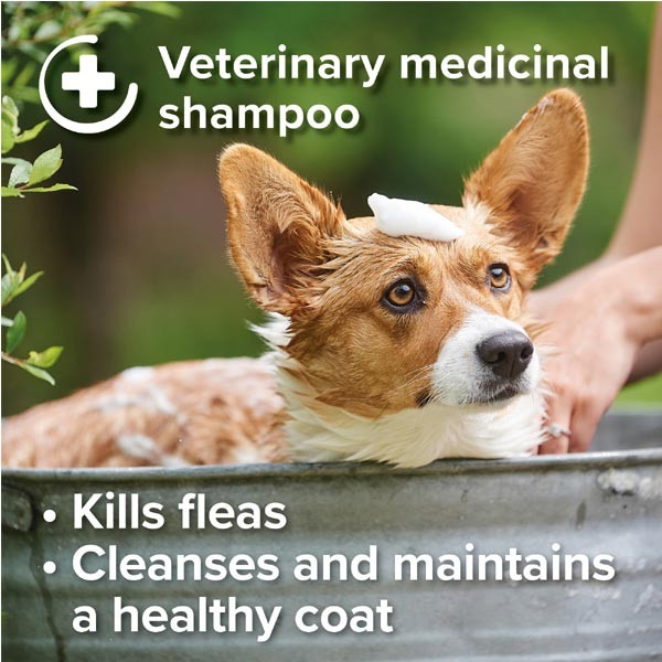 Beaphar Insecticidal Shampoo 250ml 2 Beaphar Insecticidal Shampoo 250ml - Image 2