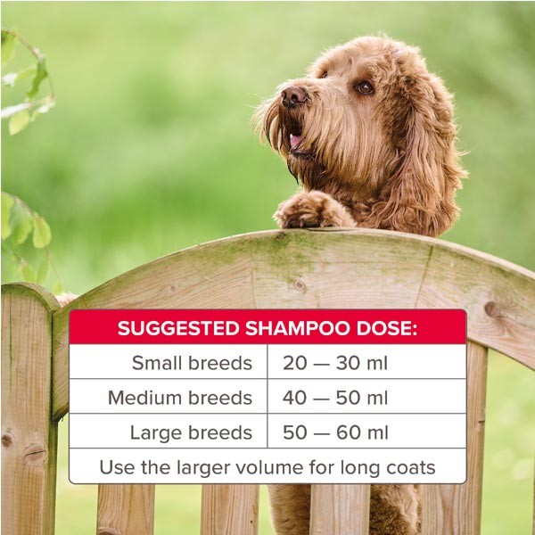 Beaphar Insecticidal Shampoo 250ml 4 Beaphar Insecticidal Shampoo 250ml - Image 4