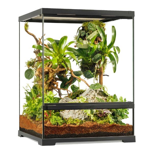 Exo Terra Pro Terrarium 45 x 45 x 60cm Small Tall 1 Exo Terra Pro Terrarium 45 x 45 x 60cm Small Tall