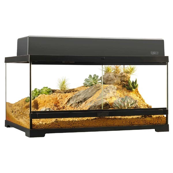 Exo Terra Pro Terrarium 60 x 45 x 30cm Medium Low 2 Exo Terra Pro Terrarium 60 x 45 x 30cm Medium Low - Image 2