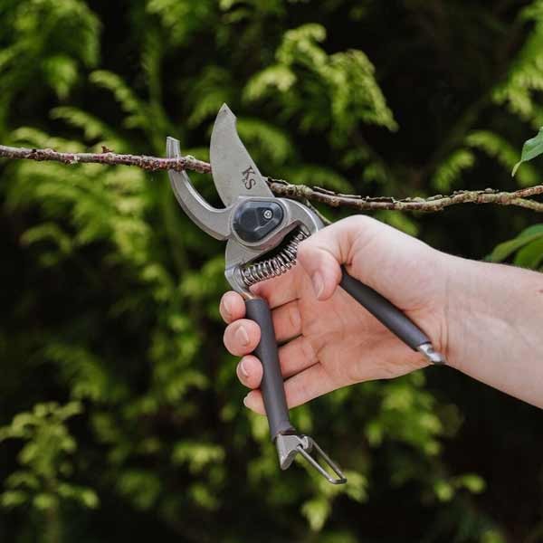 Kent & Stowe Traditional Secateurs Twin Pack 2 Kent & Stowe Traditional Secateurs Twin Pack - Image 2