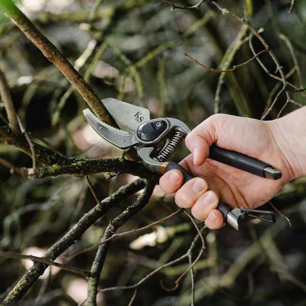 Kent & Stowe Traditional Secateurs Twin Pack 3 Kent & Stowe Traditional Secateurs Twin Pack - Image 3