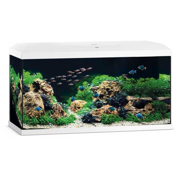 Juwel Primo 110 White Aquarium 2.0 1 Juwel Primo 110 White Aquarium 2.0